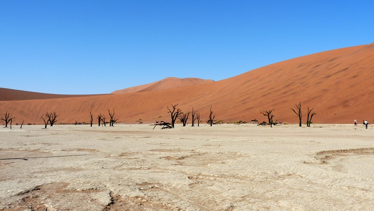 Im Deadvlei